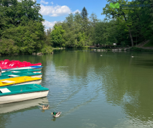 Miskolctapolca egyik legkedveltebb tavaszi és nyári úti célja, a Csónakázó-tó ismét megnyitotta kapuit a látogatók előtt.